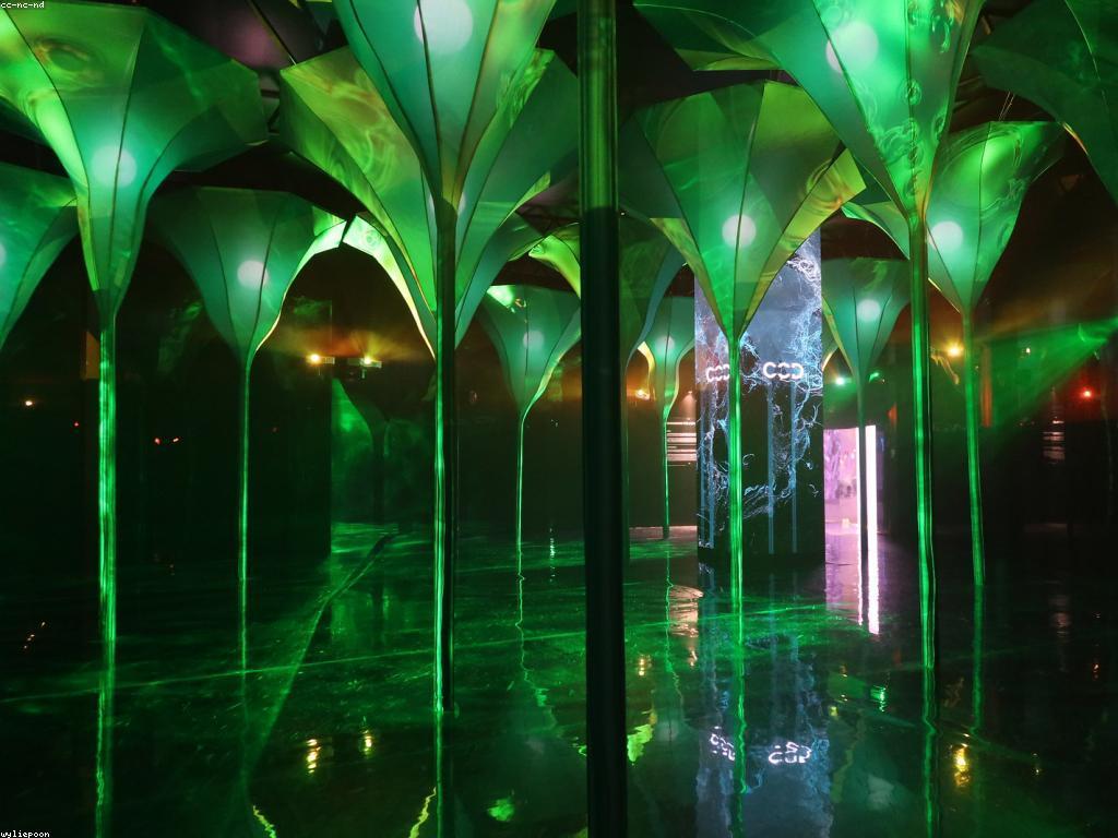 វិធីទទួលប្រាក់ពីកាស៊ីណូដែលអ្នកមិនចេះ