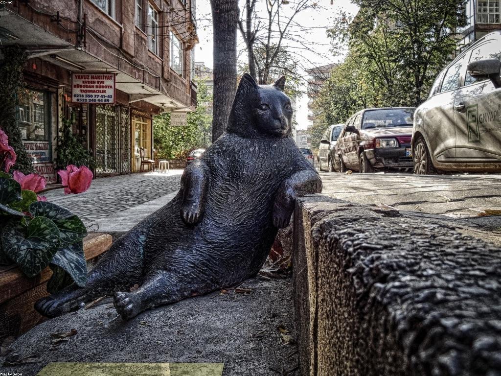 ការយល់ដឹងអំពីការចុះឈ្មោះស្លត